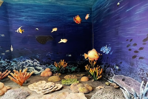 Narara Marine National Park