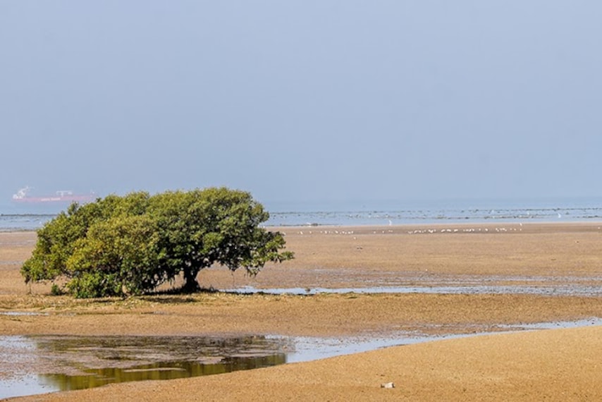 Jamnagar_Pirotan_Island_2
