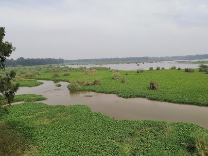 Bhindawas Bird Sanctuary