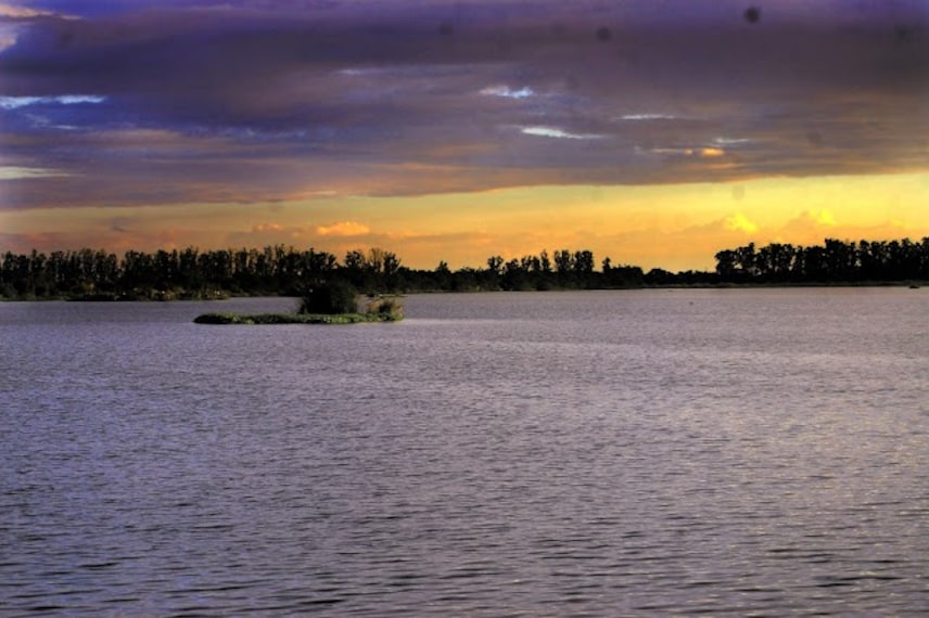 Jhajjar_Bhindawas_bird_sanctuary_2