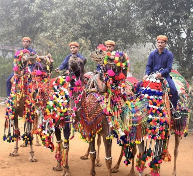 Jhajjar_Pratapgarh_farms_2