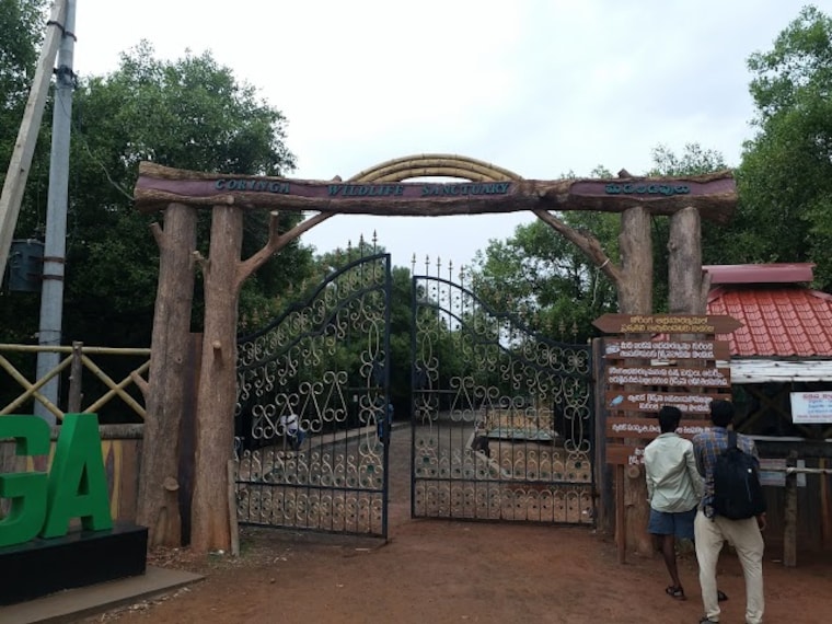 Kakinada_Coringa_wildlife_sanctuary_1