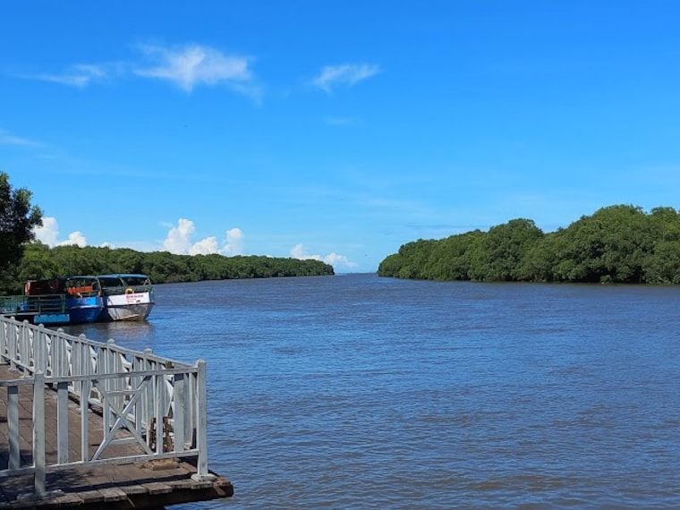 Kakinada_Coringa_wildlife_sanctuary_2