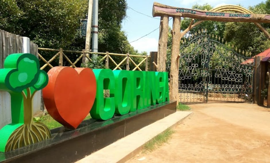 Kakinada_Coringa_wildlife_sanctuary_3