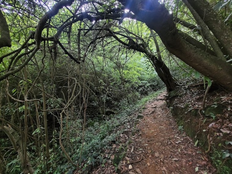 Kannur_Paithalmala_2