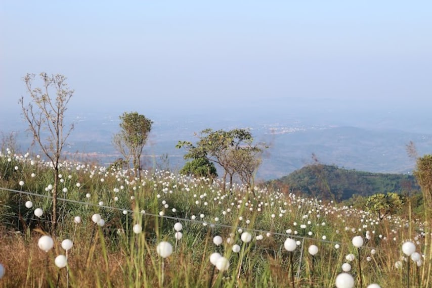 Kannur_Palakkayam_thattu_4