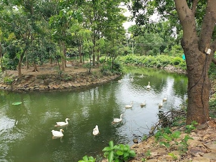 Kinnerasani Wildlife Sanctuary