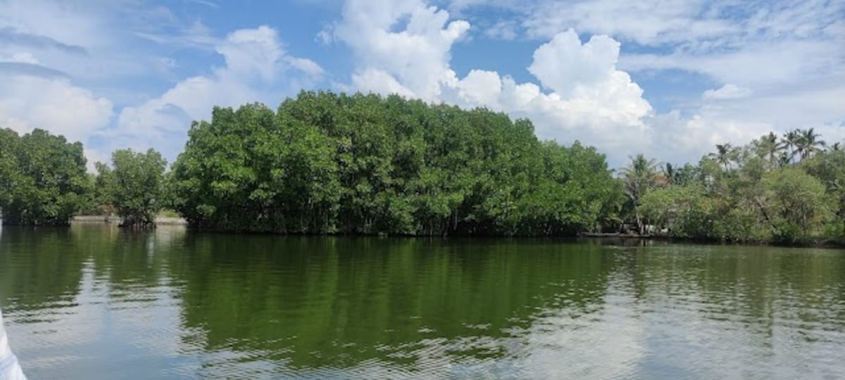 Kollam_Munroe_island_3