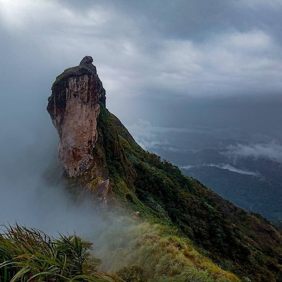 Kottayam_Illikkal_kallu_2