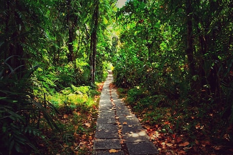 Island Of Pathiramanal