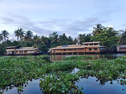 Kumarakom Bird Sanctuary Near Kottayam