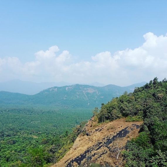 Kottayam_Nadukani_1