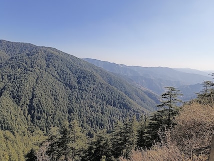 Green Valley Near Kufri