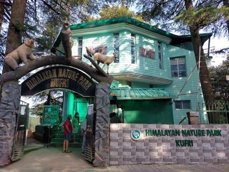 Kufri_Himalayan_nature_park_1
