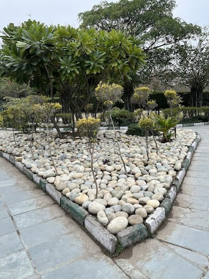 Mohali_Silvi_park_2