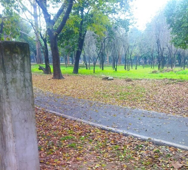 Muzaffarnagar_Kamla_nehru_vatika_1