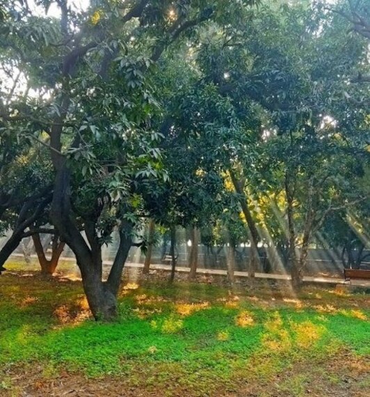 Muzaffarnagar_Kamla_nehru_vatika_3