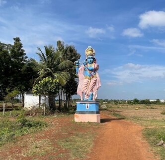 Mannar Poluru