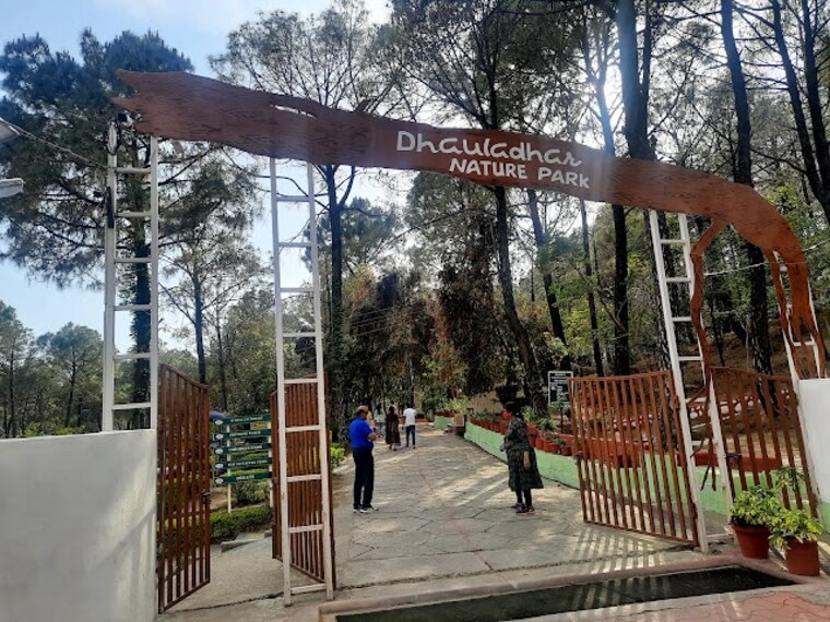 Palampur_Dhauladhar_national_park_1