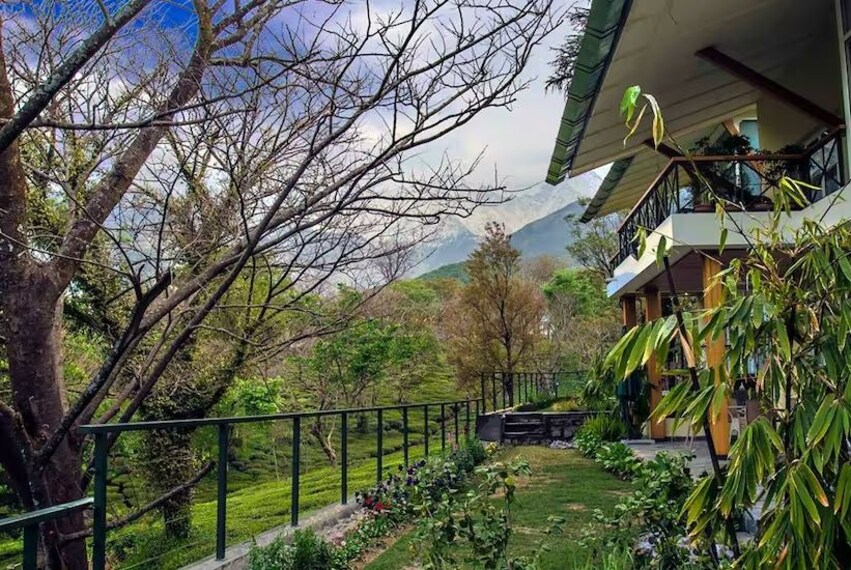 Palampur_Norwood_green_2