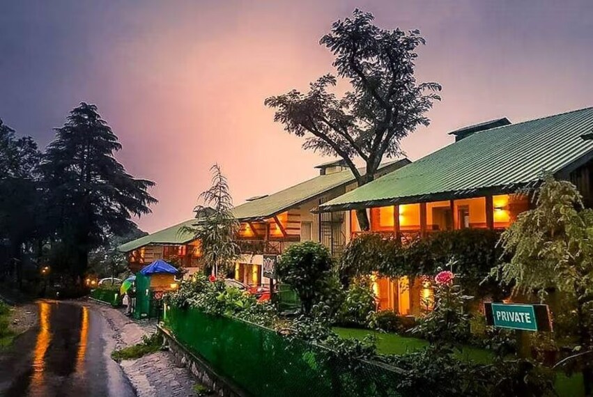Palampur_Norwood_green_3