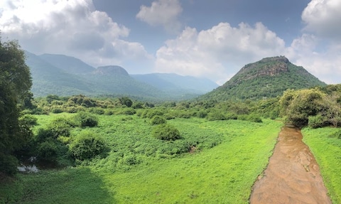 Anamalai Wildlife Sanctuary