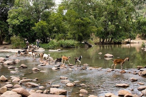 Chinnar Wildlife Sanctuary