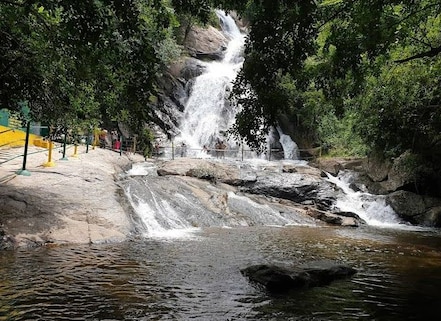 Monkey Falls Near Pollachi