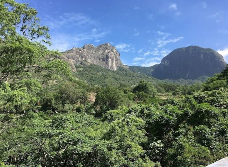 Pollachi_Monkey_falls_2