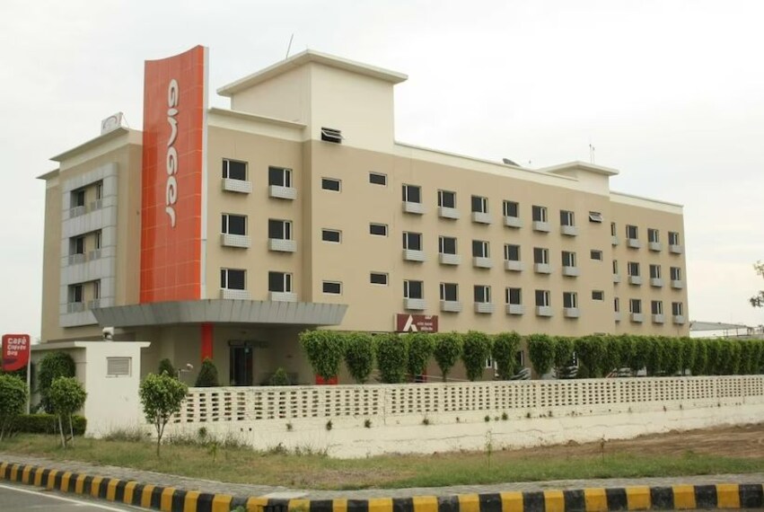 Rudrapur_Ginger_pantnagar_1