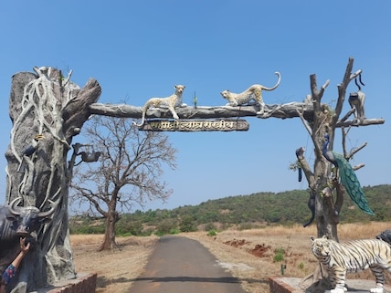 Chandoli National Park