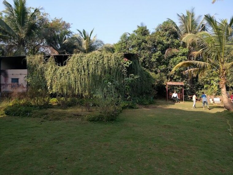 Thane_Ovelekar_wadi_butterfly_garden_1