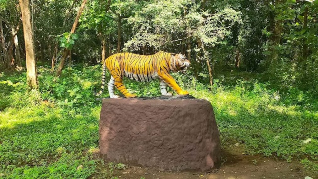 Tirunelveli_Kalakkadu_wildlife_sanctuary_4