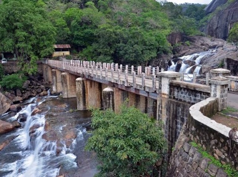 Tirunelveli_Manimuthar_waterfalls_2