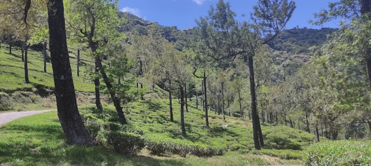 Tirunelveli_Manjolai_1