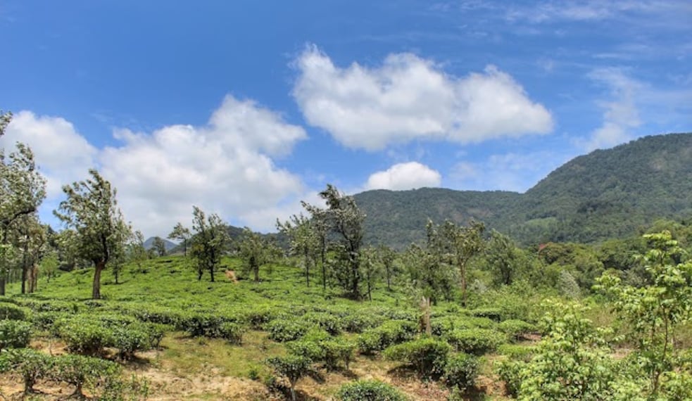 Tirunelveli_Manjolai_3