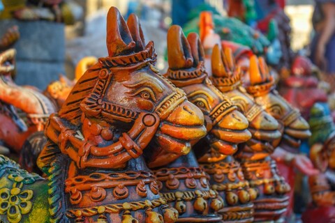 The Palayamkottai Market