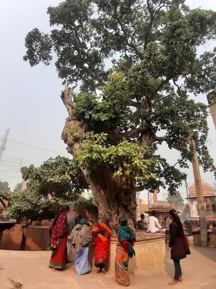 Vrindavan_Katyayani_peet_1