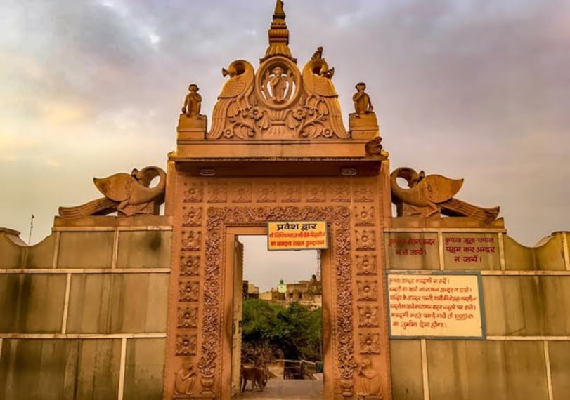 Vrindavan_Nidhivan_3