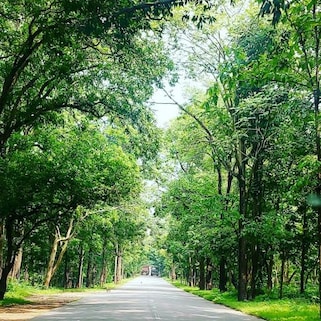 Eturnagaram Wildlife Sanctuary