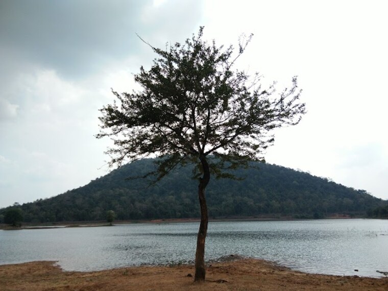 Warangal_Pakhal_lake_3