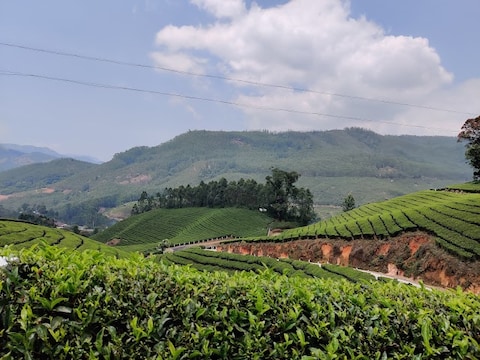 Devikulam
