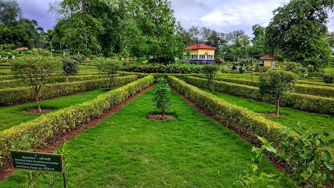 Dadra