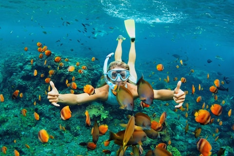 Snorkelling in Fujairah