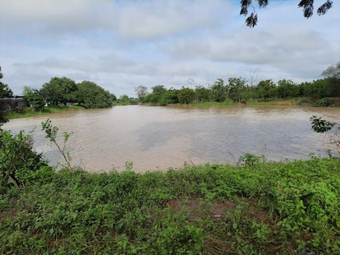 Fishing at Valanoor
