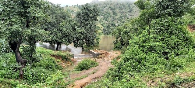 Ambaji_BAlaram_Ambaji_Wildlife_Sanctuary_3