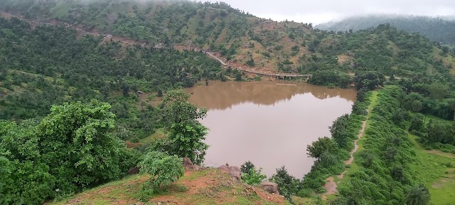 Ambaji_Balaram_Ambaji_Wildlife_Sanctuary_1
