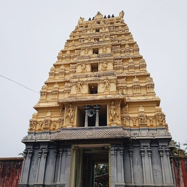 Chidambaram_Sivakamiamman_Temple_1