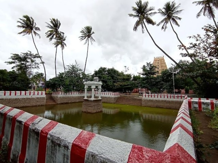 Chidambaram_Sivakamiamman_Temple_3