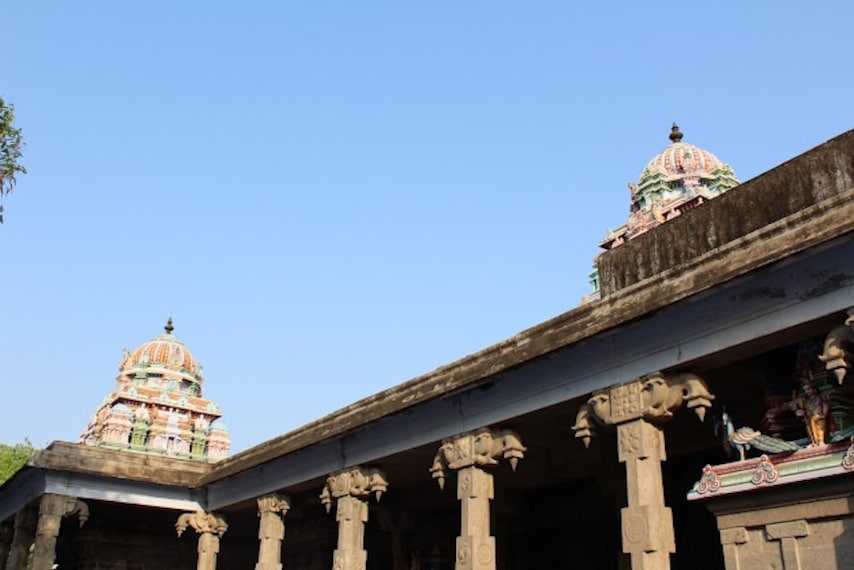 Chidambaram_Thirunelvayil_3